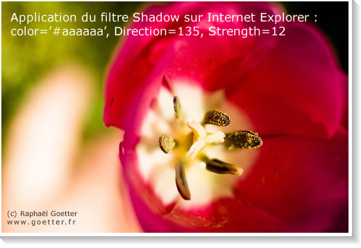 filtre Shadow sur IE