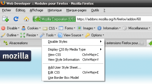 Webdeveloper Extension