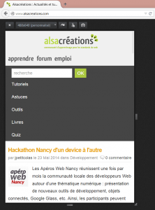 Vue adaptative sur Firefox