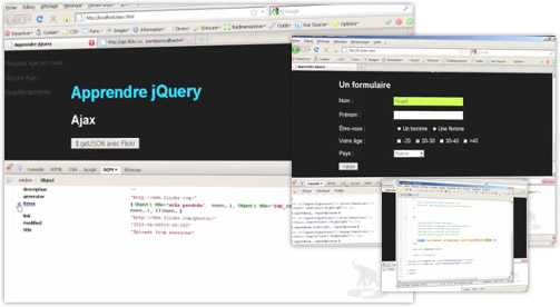 Preview DVD jQuery