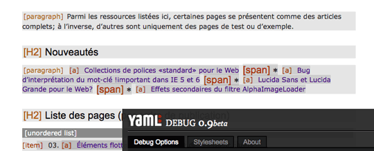 Aperçu de l'onglet Debug Options de YAML Debug
