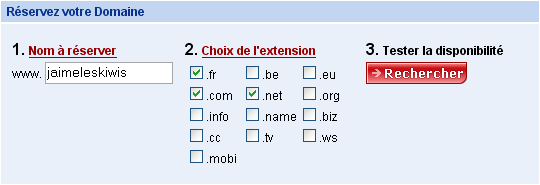 Test de la disponibilité du nom de domaine