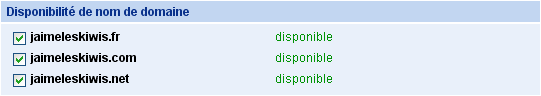 Test de la disponibilité du nom de domaine