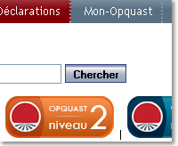 niveaux Opquast