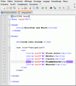 Editeur de code source - Notepad++