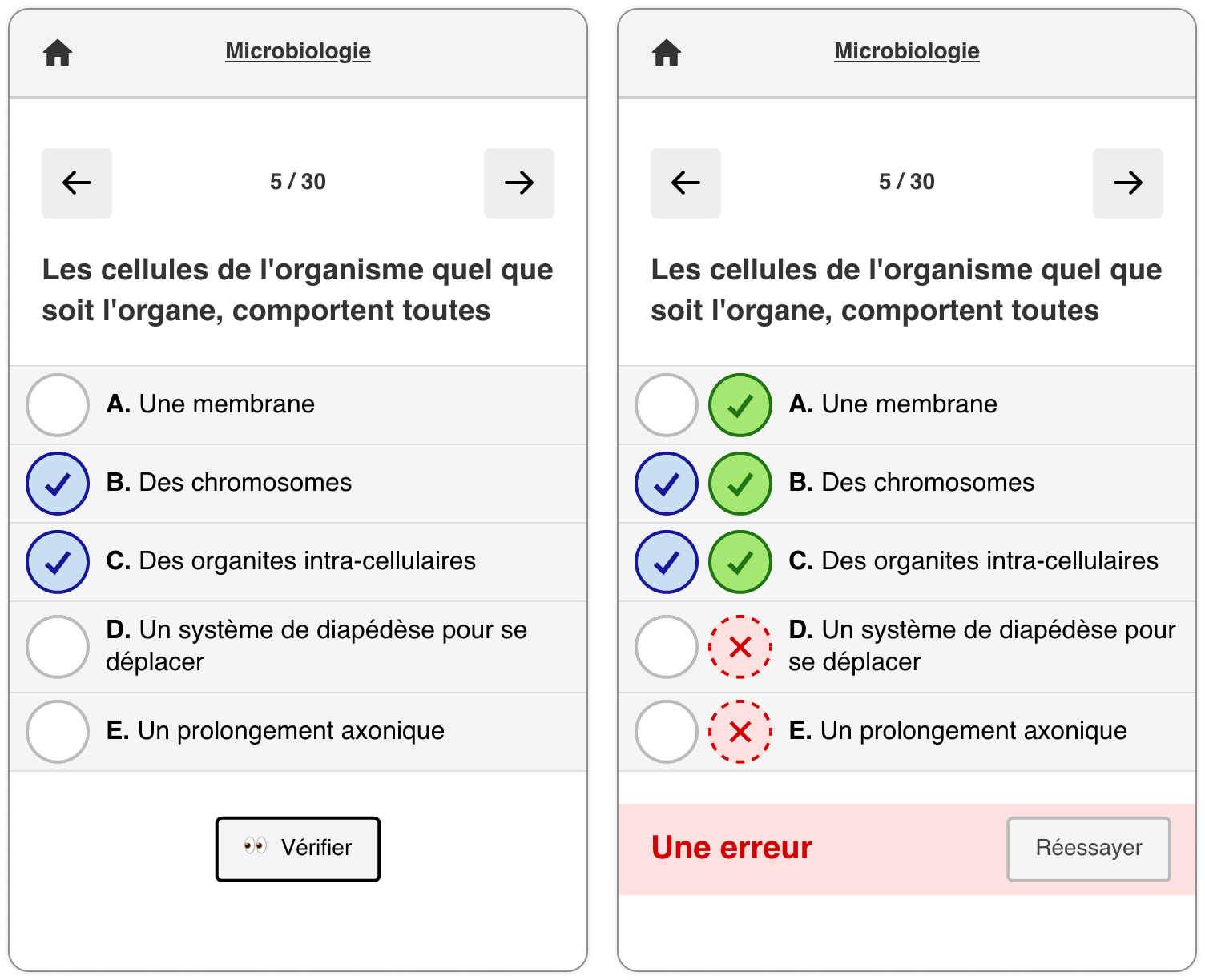 un exemple du framework Svelte en action