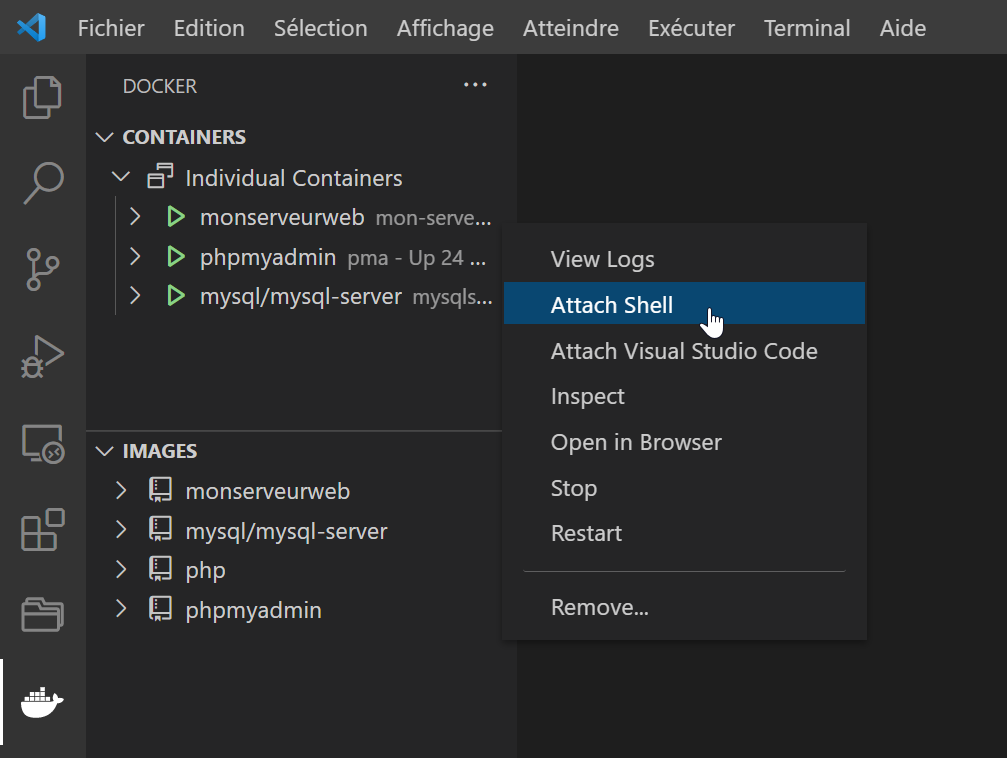 Capture d'écran Docker dans Visual Studio Code