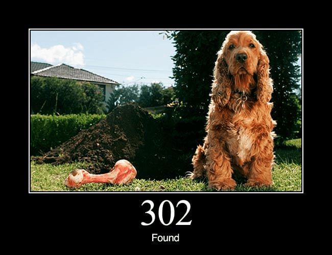 Meme relatif à HTTP 302