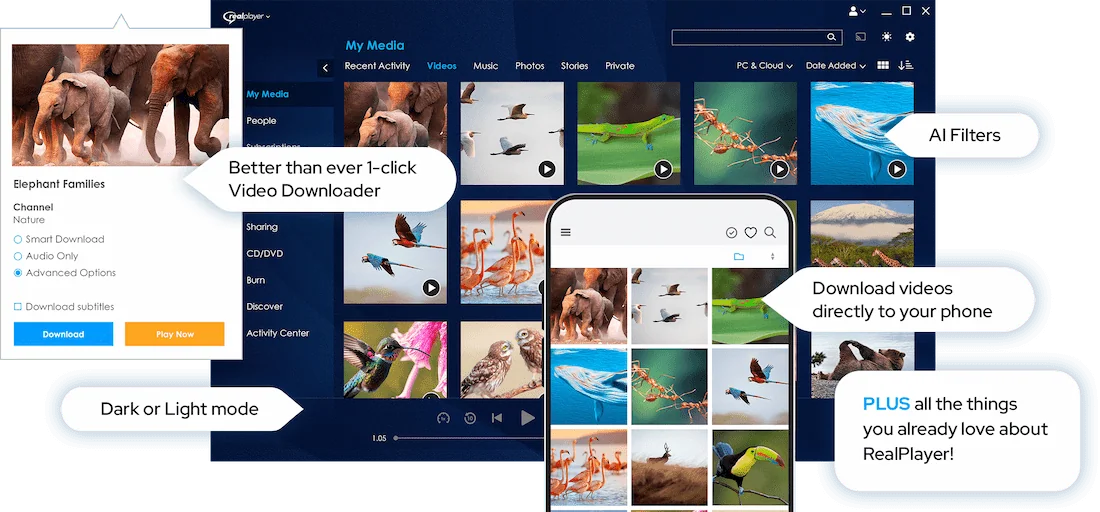 RealPlayer 24
