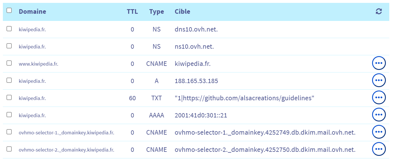 Capture d'écran d'une zone DNS enregistrements DKIM
