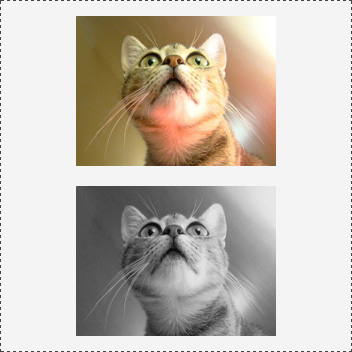 Canvas Pixels et un chat
