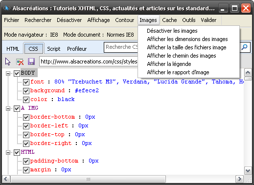 IE8 Debug